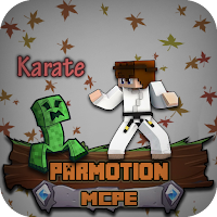 Karate Skin Minecraft