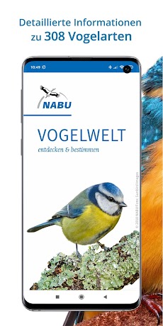 NABU Vogelwelt Vögel Bestimmenのおすすめ画像1