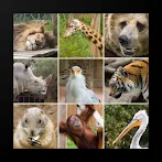 animal quiz with answer