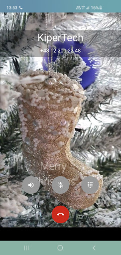 Video on Call Screen 2