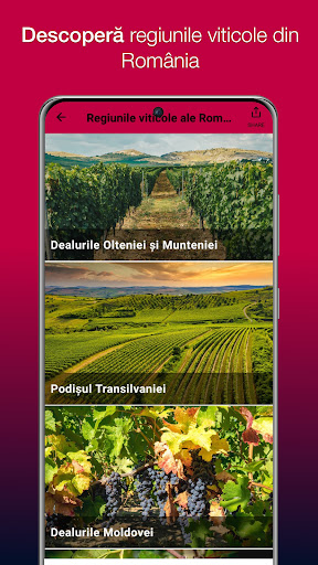 Winesday App Screen 2