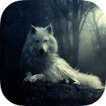 Dogs Wallpapers HD Apk