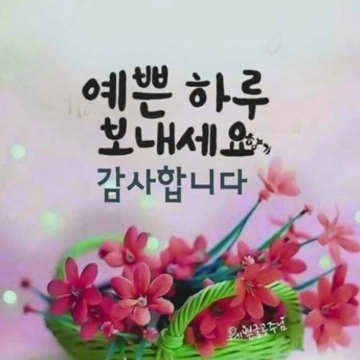 좋은 아침/좋은 밤 축하