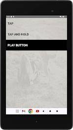 Cat Fight Sounds poster 7