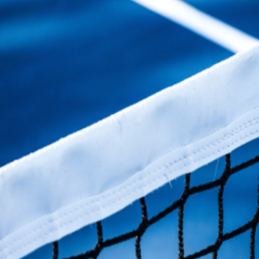 PickleBall Match ScorerPro Laai af op Windows