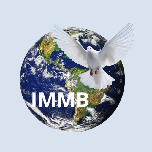 IMMB Download on Windows