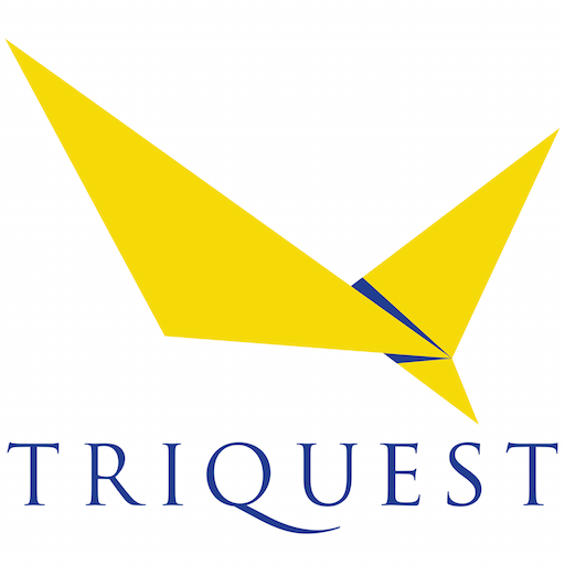 Triquest MGMT logo
