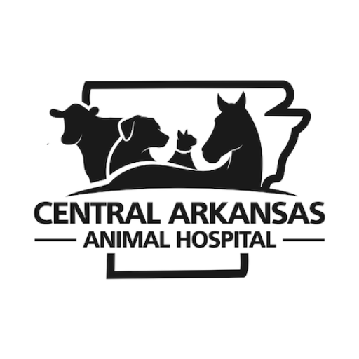 Central Arkansas AH logo