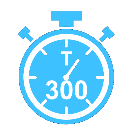 Timer 300