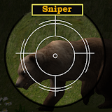 Animal Sniper Hunting icon