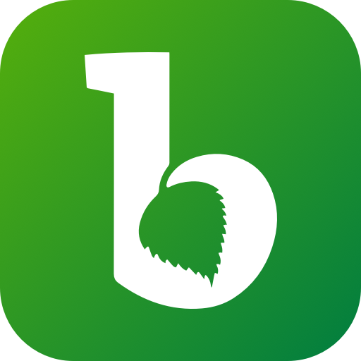 Birkenwerder App logo