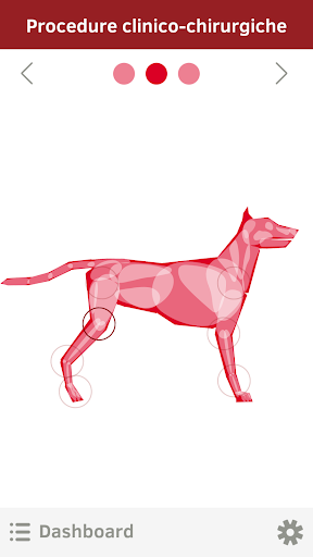 Android application OrthovetPlus screenshort