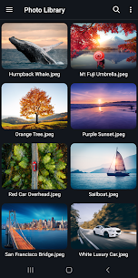 File Viewer for Android Mod Apk 5
