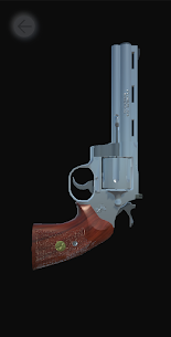 Revolver Simulator 5
