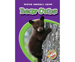 Icon image Bear Cubs