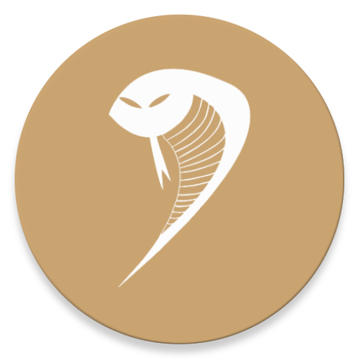 Evolved Snake دانلود در ویندوز