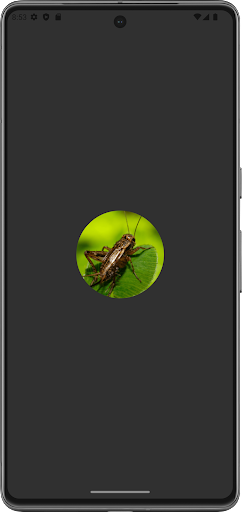Android application เสียงแมงจีซอน เสียงจิ้งหรีด screenshort