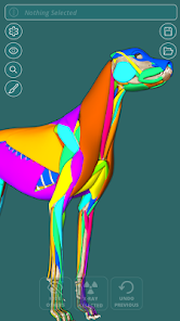 Imágen 3 Visual Canine Anatomy 3D - lea android