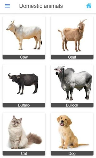 general knowledge english