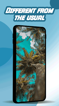 Palm Oil Tree Wallpaperのおすすめ画像2