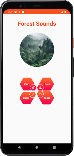 Forest Sounds Screen 2