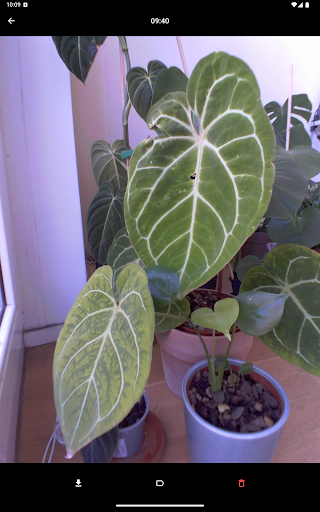 PlantCam Timelapse Camera