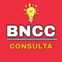 BNCC, LDB, ECA - CONSULTA, QUE