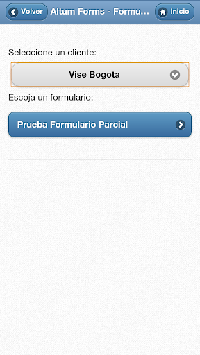 Altum Forms Screen 3