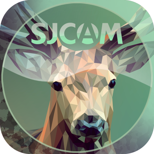 CatchCam logo