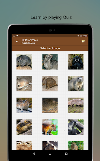 Screenshot of Wild Animals