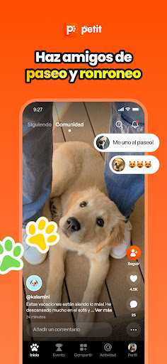 Android application Petit screenshort