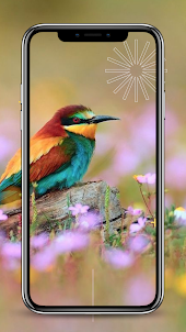 Bird Wallpapers HD 4K