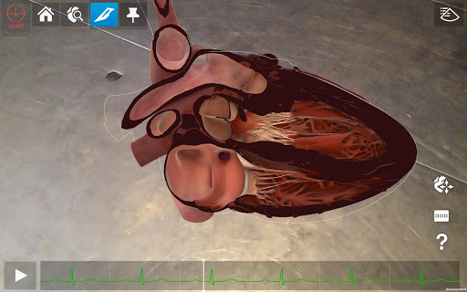 HeartWorks AR Screen 3
