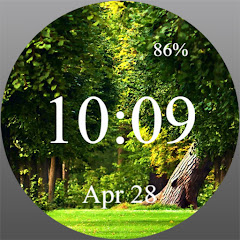 Icon image