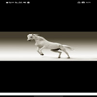 خلفيات خيول