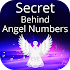 Angel Numbers App - Numerology