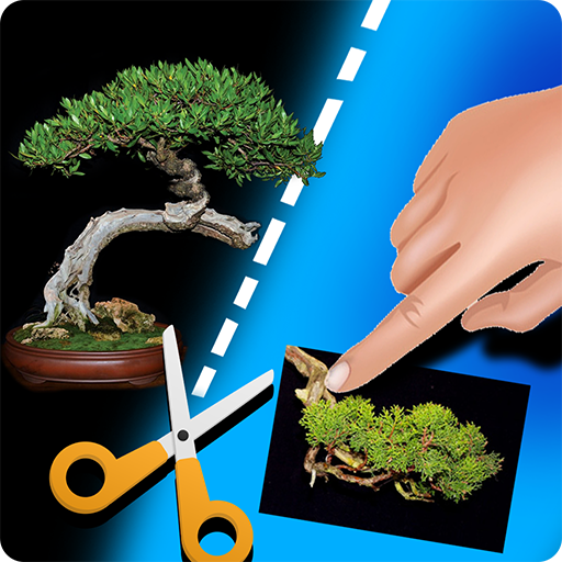 [Gift Code] My Bonsai mới nhất 07/2025