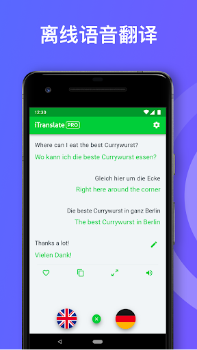 iTranslate 翻译 - 翻譯和词典 screenshot 5