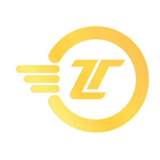 TimZi logo