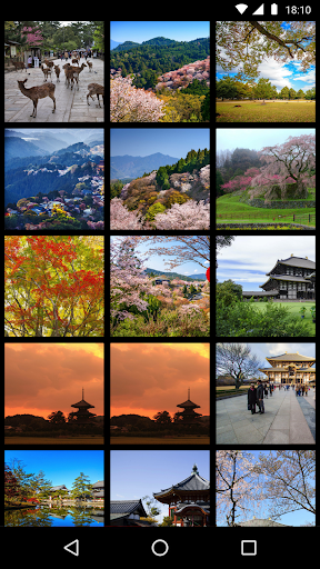 Nara Travel Guide Screen 2