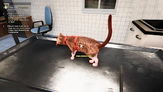 Game screenshot Animal Rescue Pet Story Game apk download
