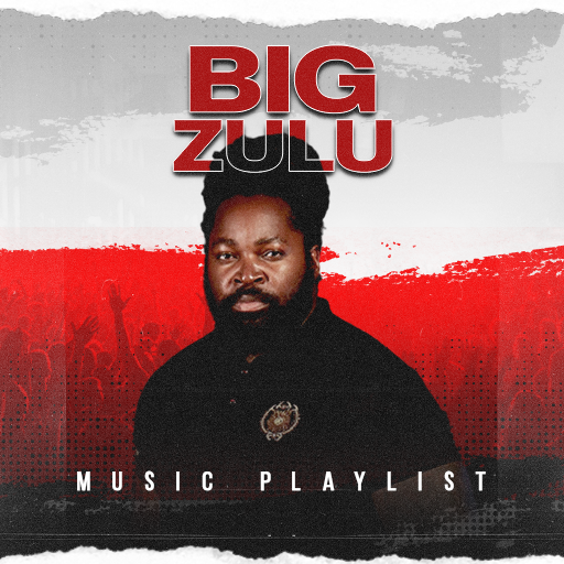 Big Zulu All Songs