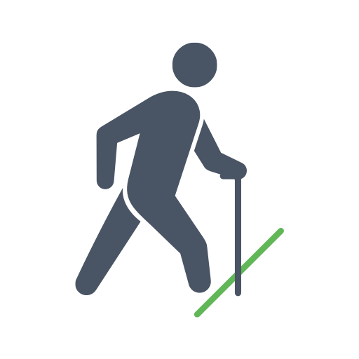 SKYWALK-FOG logo