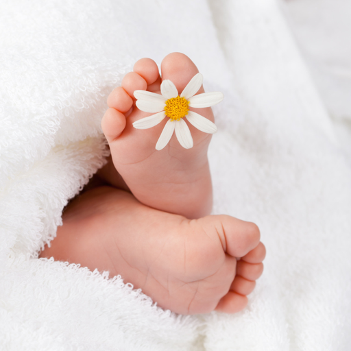 Mein Baby - Ich bin schwanger Scarica su Windows
