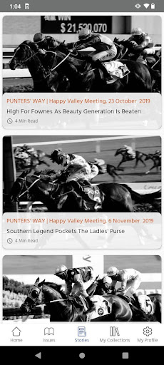 Punters Way Screen 3