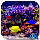 Aquarium 4K Video Wallpaper icon