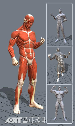 Android application ArtPose Male Edition screenshort