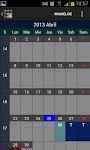 screenshot of SaTurnos Pro Calendar