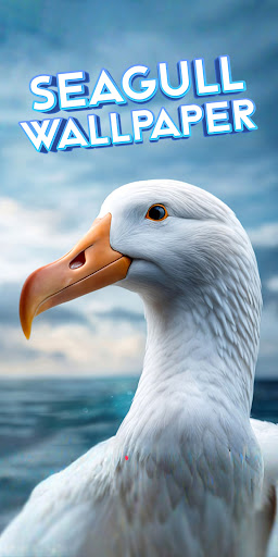 Android application seagull wallpaper screenshort