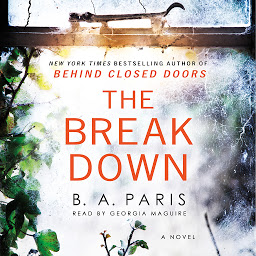 图标图片“The Breakdown: A Novel”